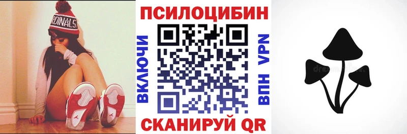 закладка  Циолковский  Псилоцибиновые грибы Psilocybine cubensis 